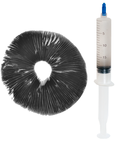 magic mushroom spore syringe canada